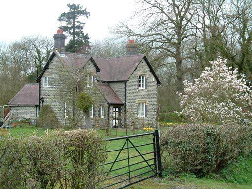 wp6bd65d5e.jpg