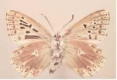 wp766c54f6.jpg