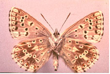 wpe6921f8b.jpg